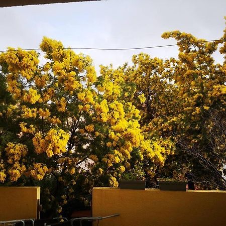 Appartement Proche Mer Avec Terrasse Et Jardin Privatif Hyères Eksteriør bilde